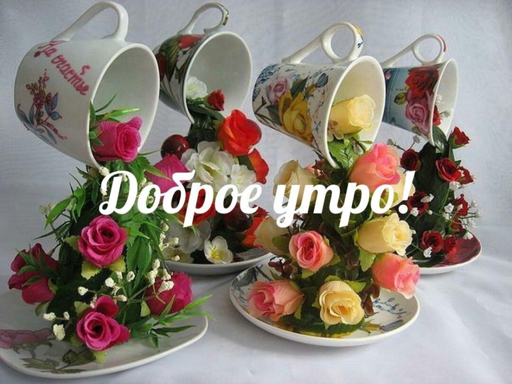 Прекрасного дня ромашки