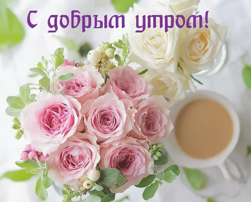 Нежные утренние цветы