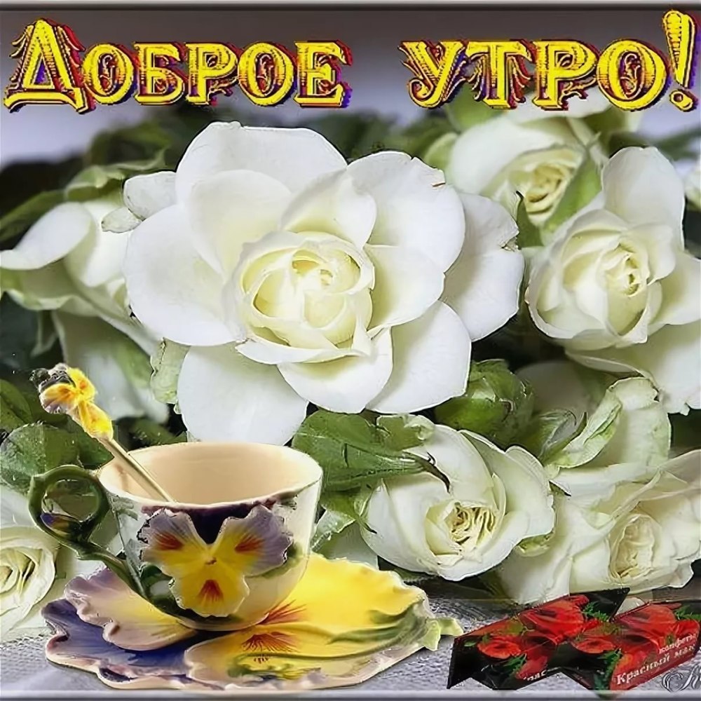 Доброе утро цветы