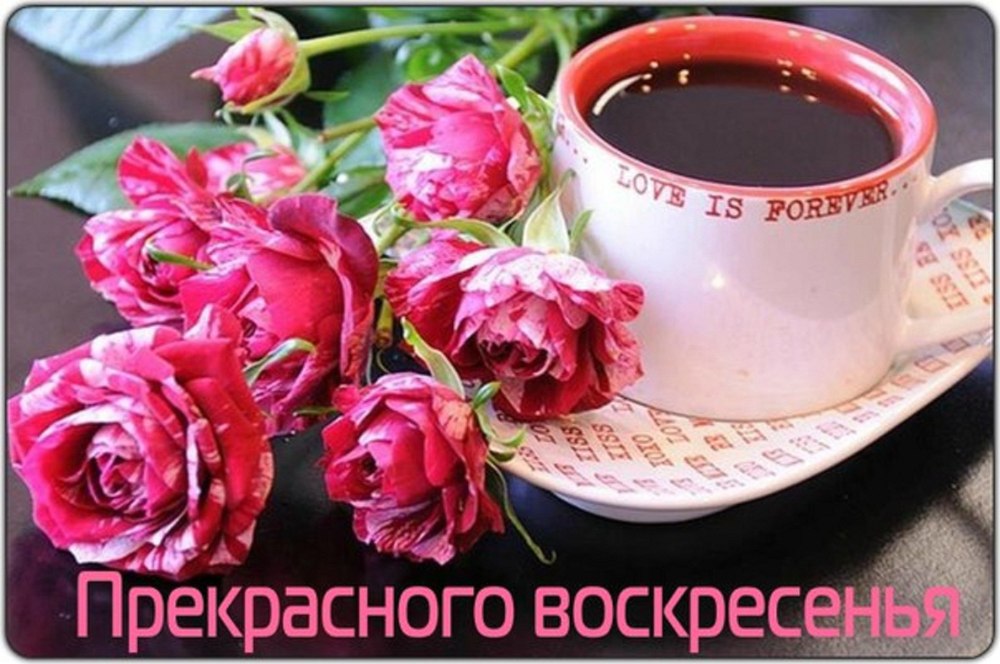 Утренний букет