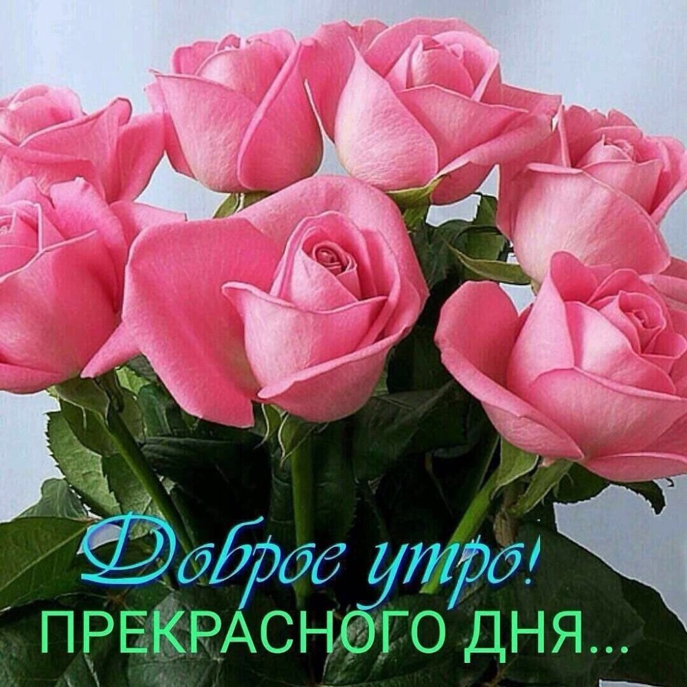 Доброе осеннее утро хорошего дня и прекрасного