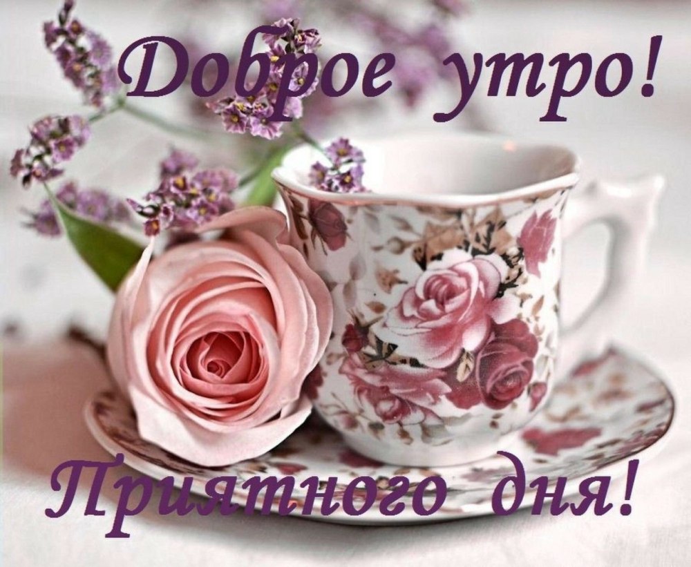 Нежные цветы и сладости