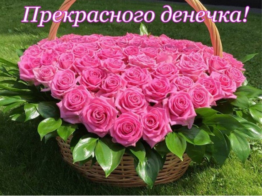 Открытка доброе утро с бабочками