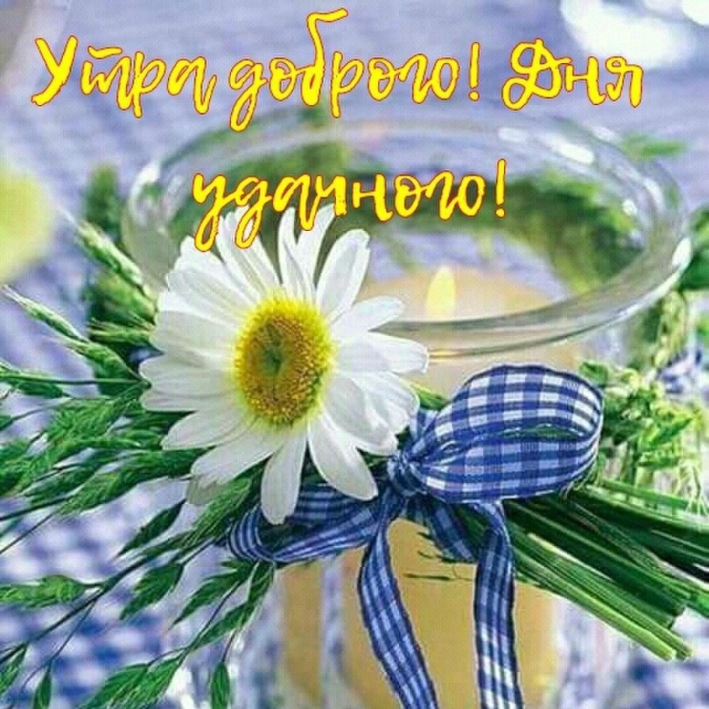 Пожелания с цветами доброго дня