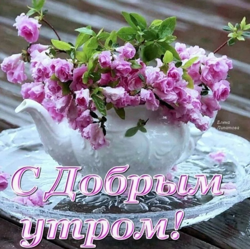 Доброе утро цветы