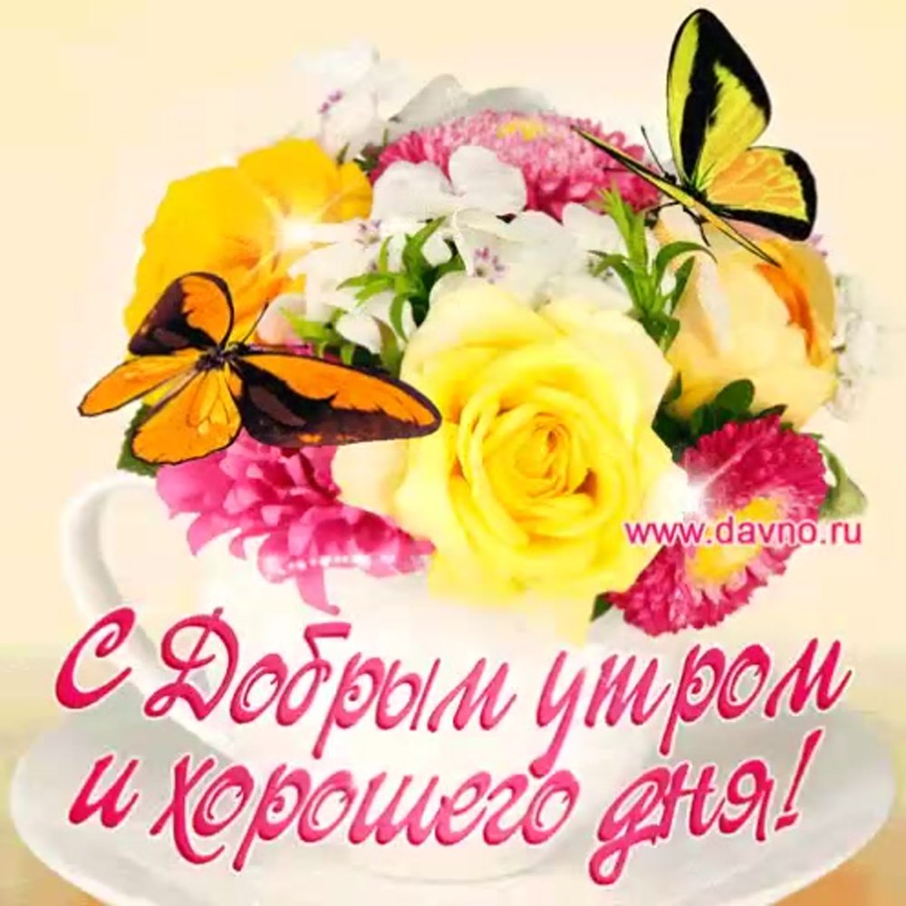 Пожелания с добрым майским утром