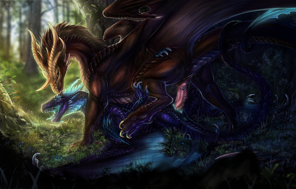 Драконы feral