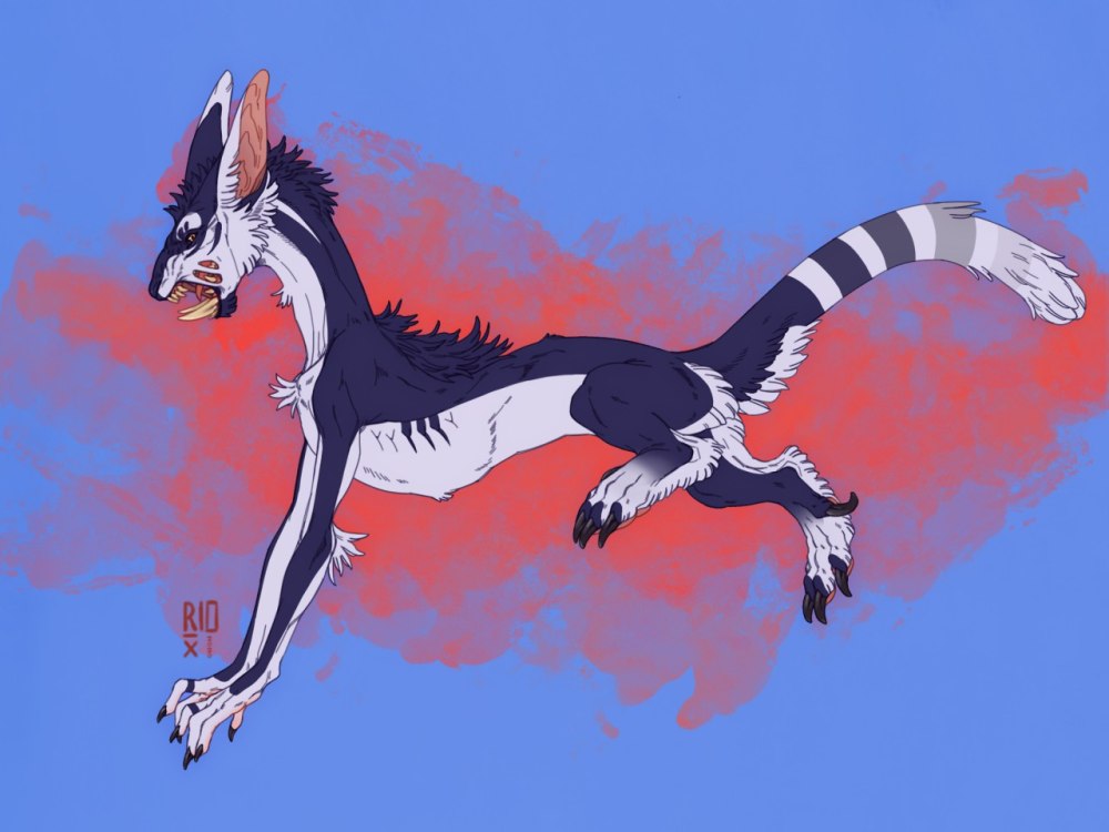 Драконы feral