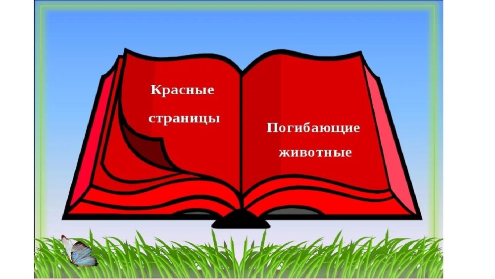 Красная книга рисунок