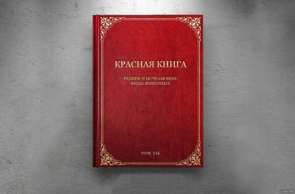Красная книга России книга
