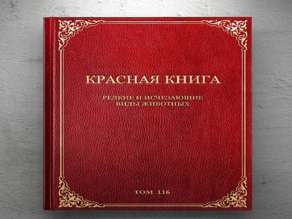 Изображение книги