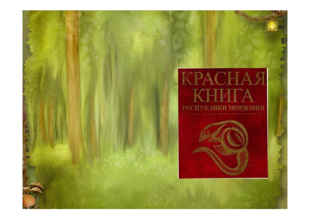 Обложка открытой книги