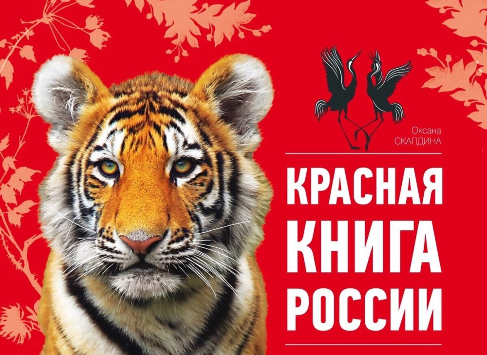 Красно-белый фон креативный