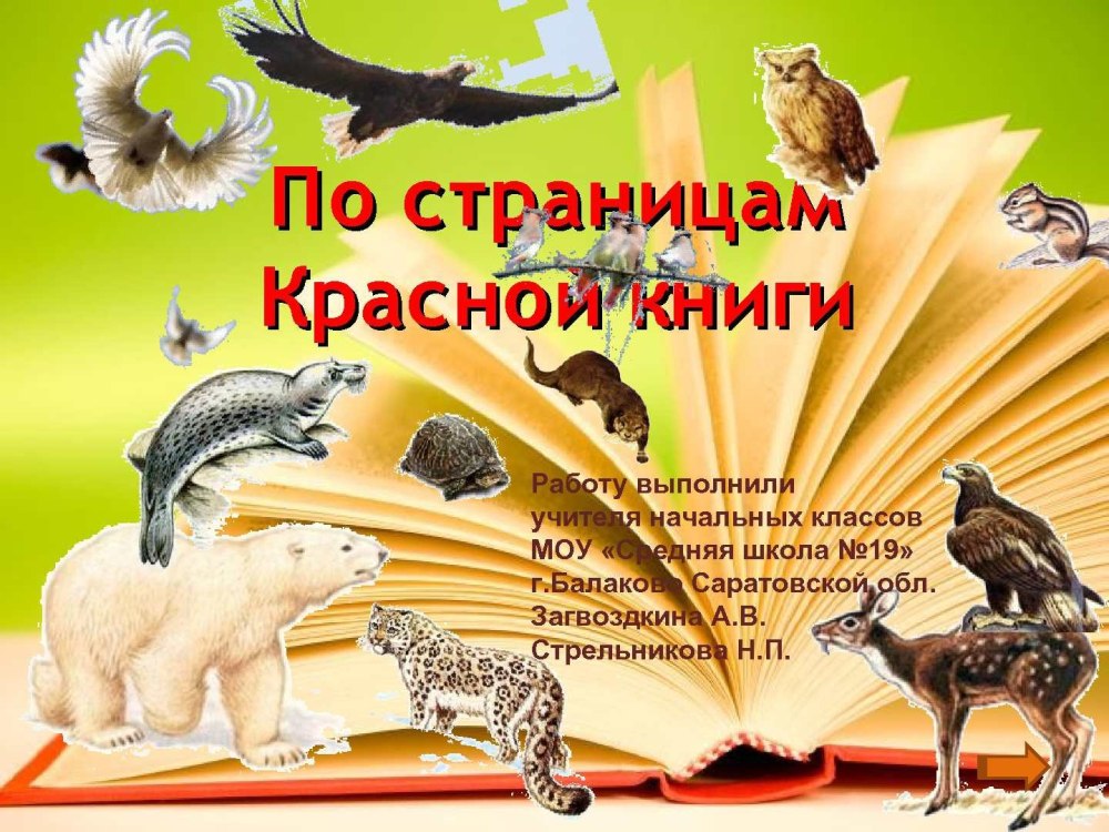 По страницам красной книгиэ