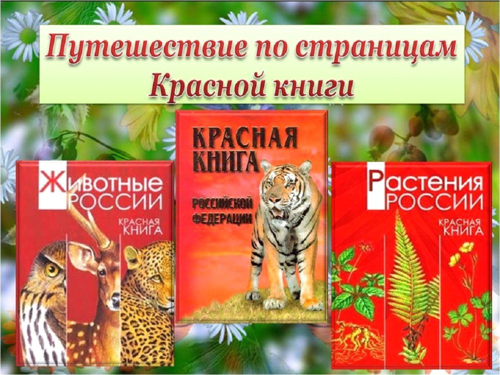 Фон для презентации на тему животные