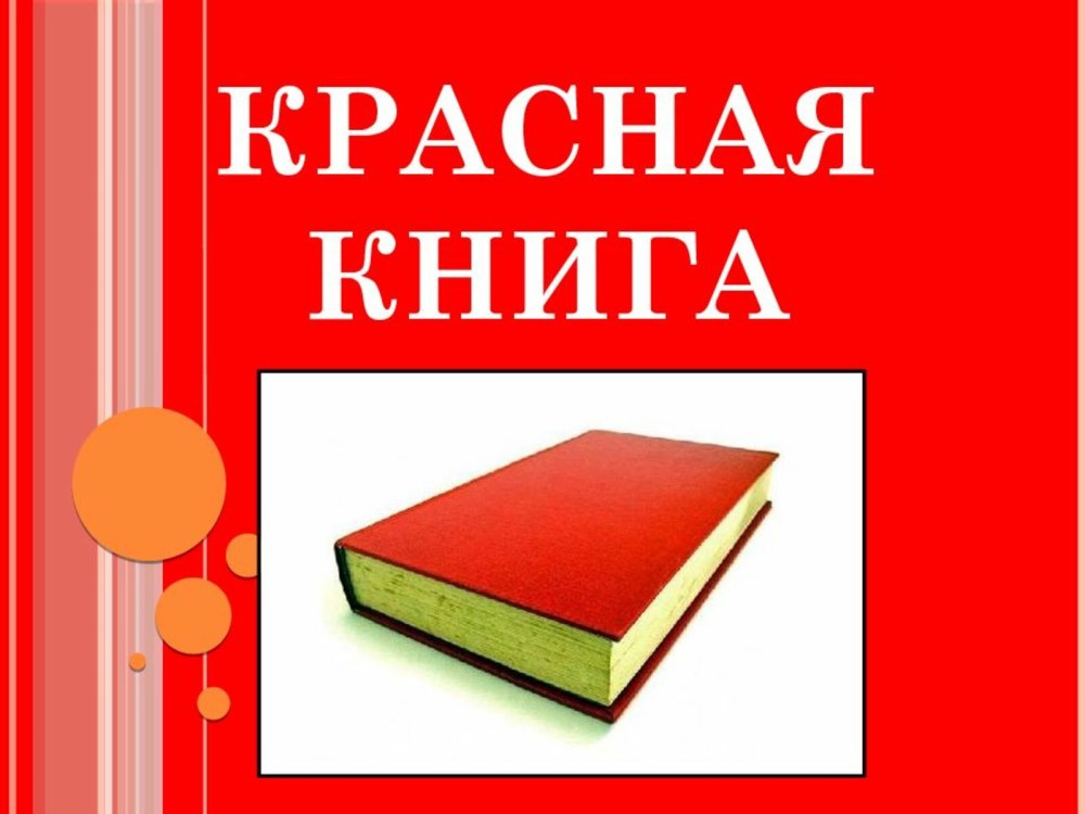 Книга для…