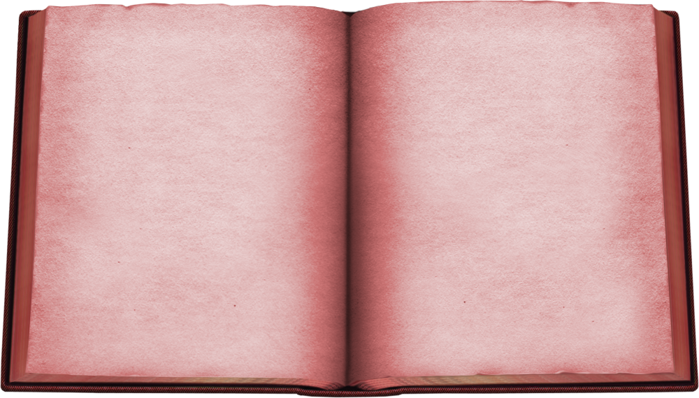 Красная книга обложка