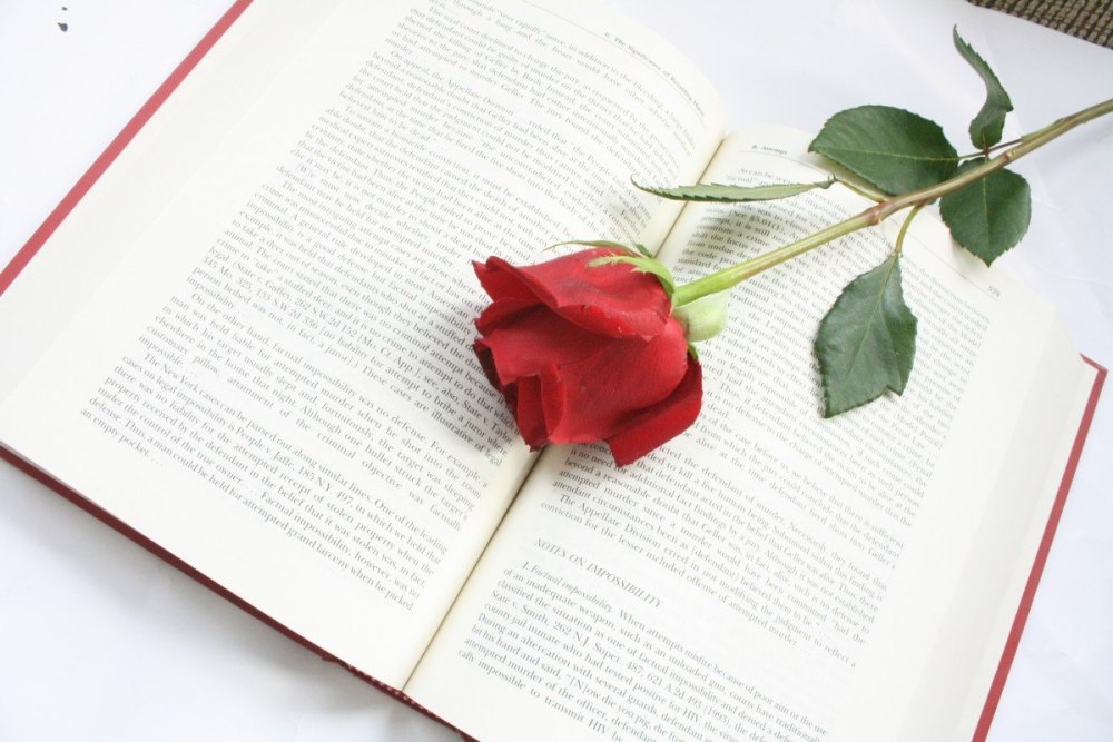 Красная книга Республики Мордовия