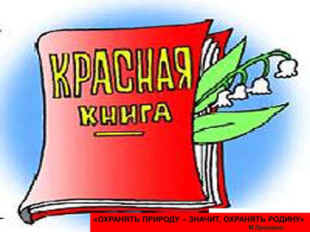 Открытая книга иллюстрация