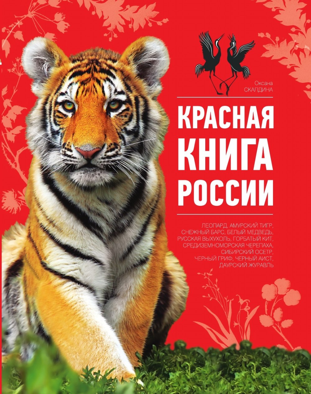 Красная кожа фон
