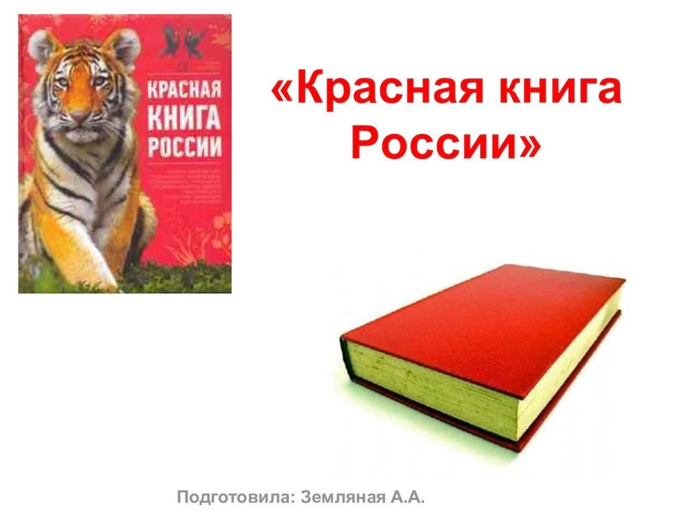 Фон для красной книги