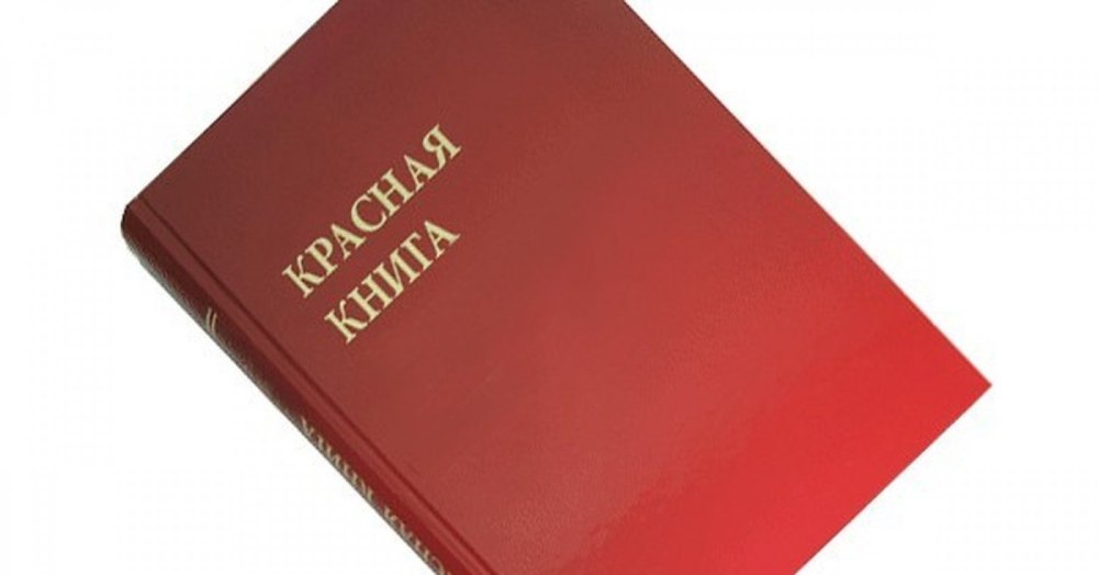 Фон для слайдов повер поинт