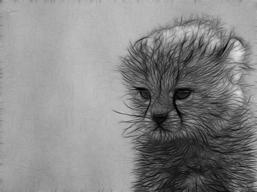 Графический рисунок карандашом