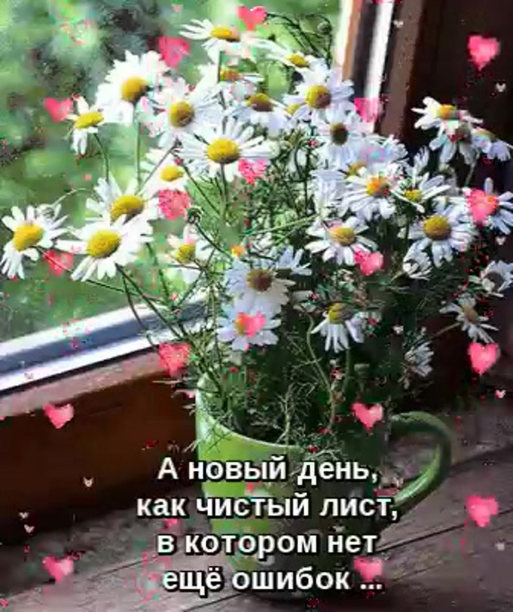 Открытка Приветствую вас