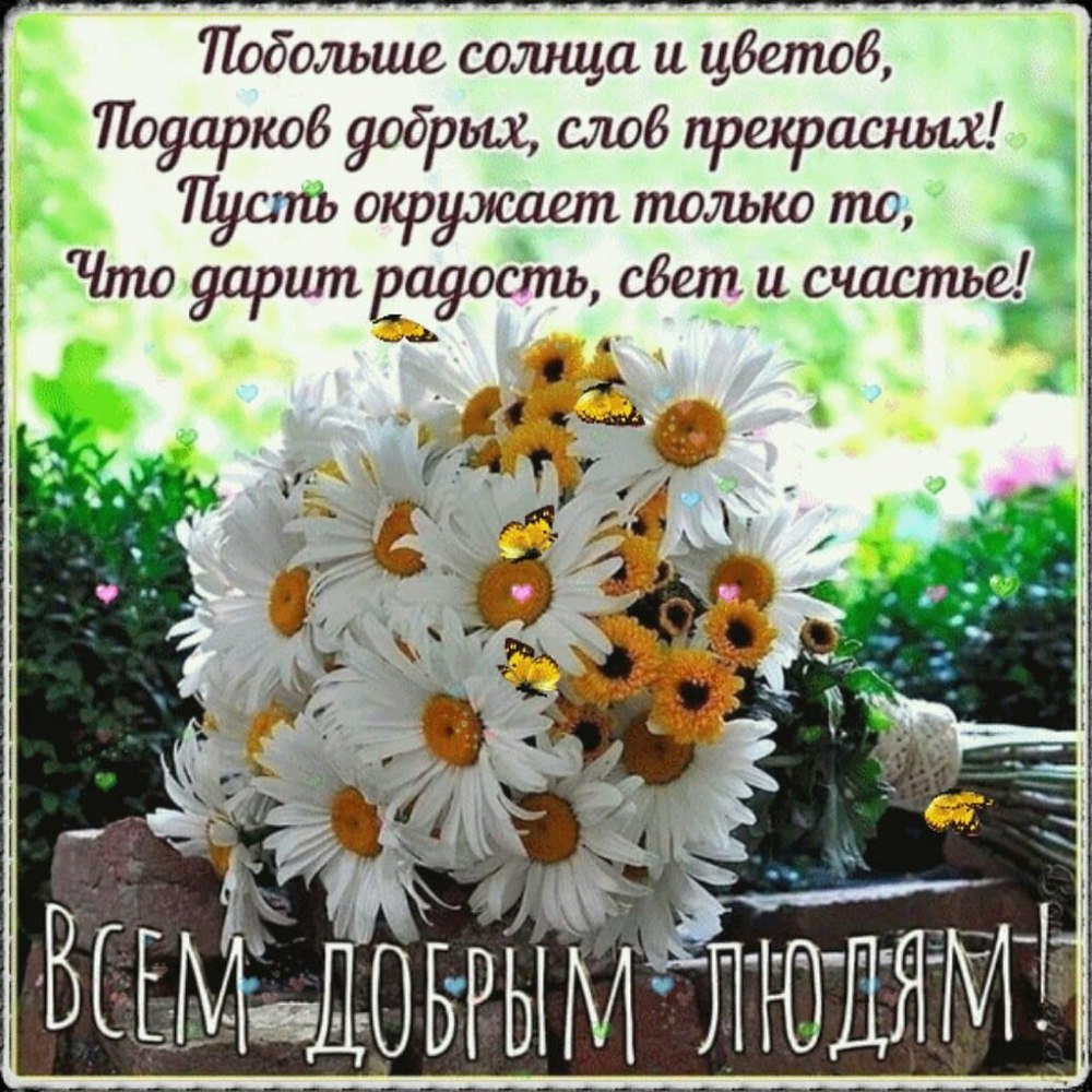 Ромашки и васильки