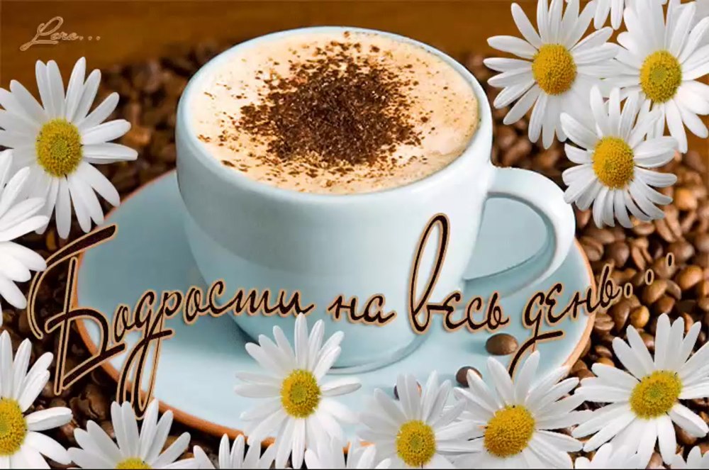 Цветы ромашки и васильки