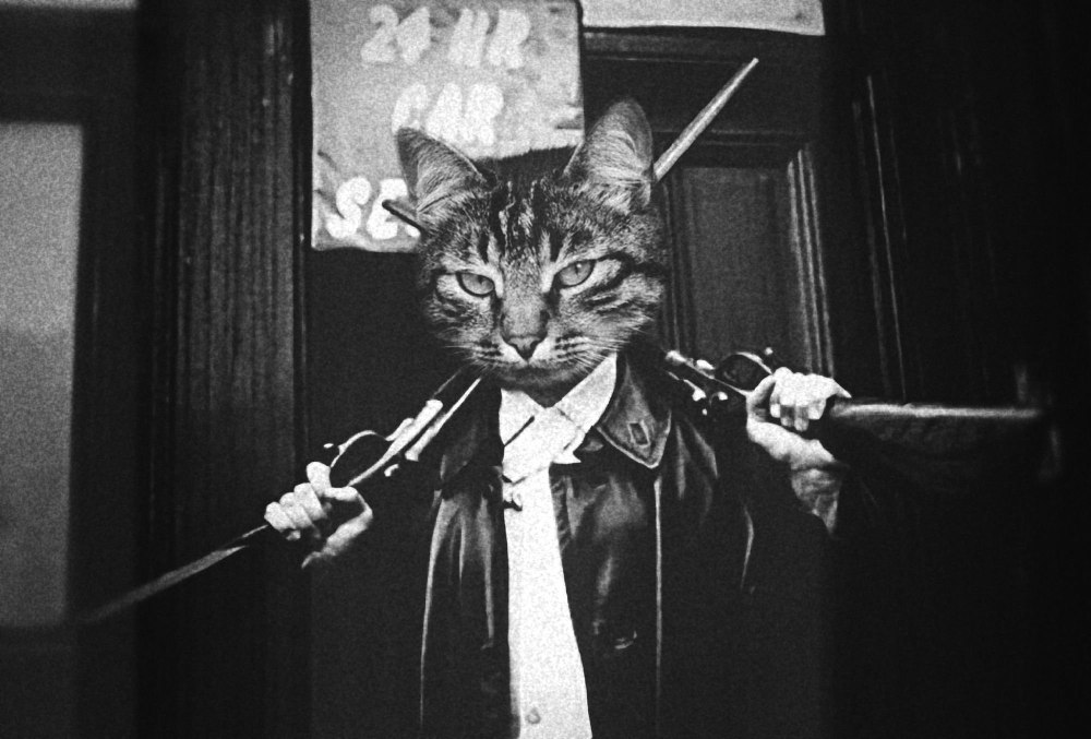 Кошка с сигарой