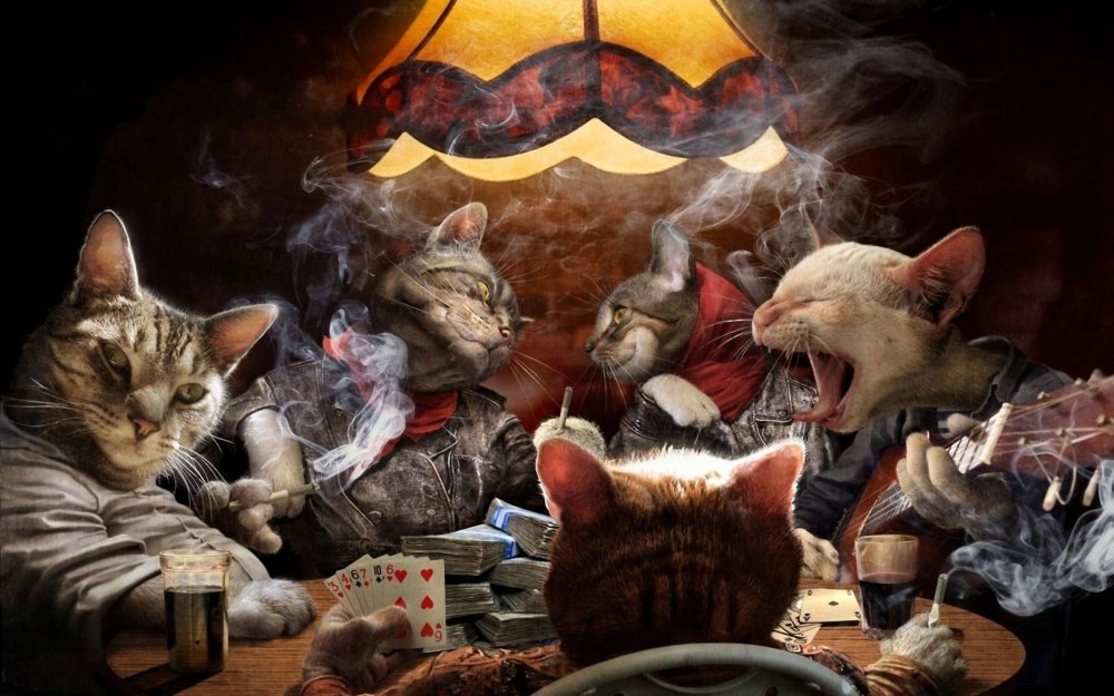 Кот с сигарой и виски