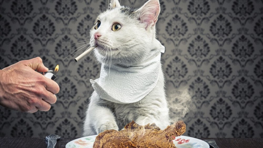 Аватар кот с сигарой