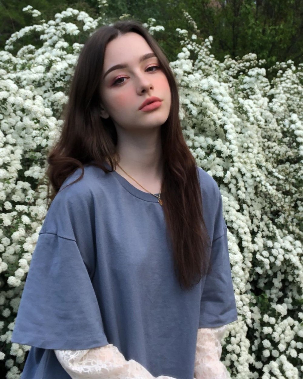 Ryleyladd модель