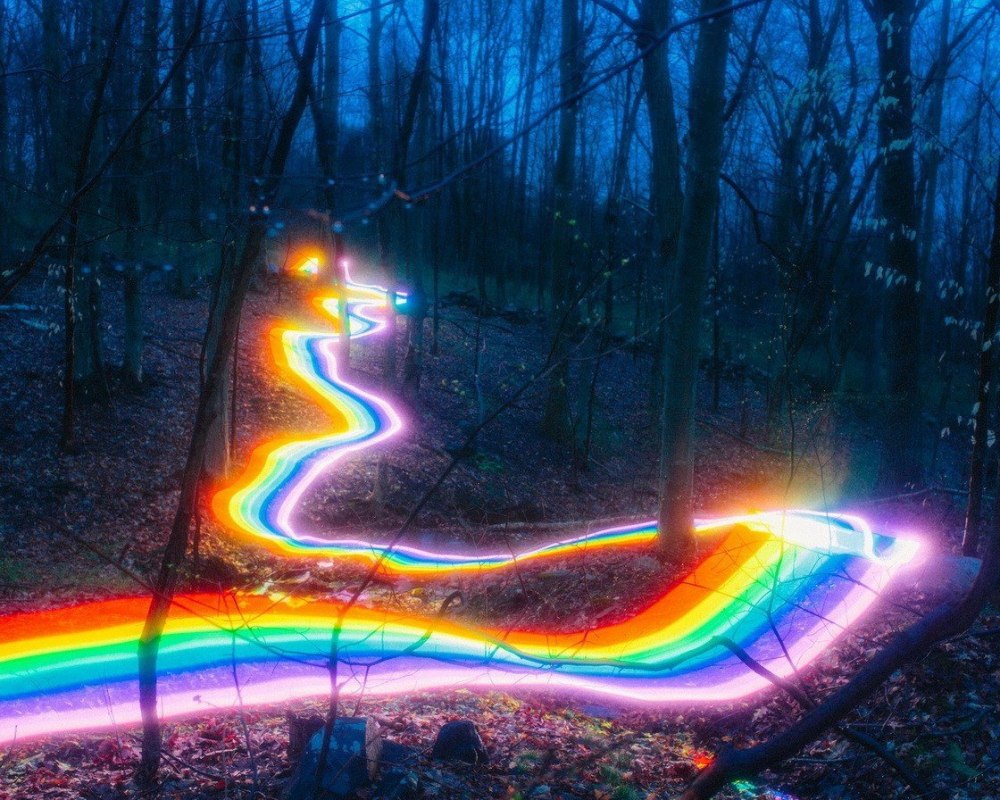 Яркие красивые цвета