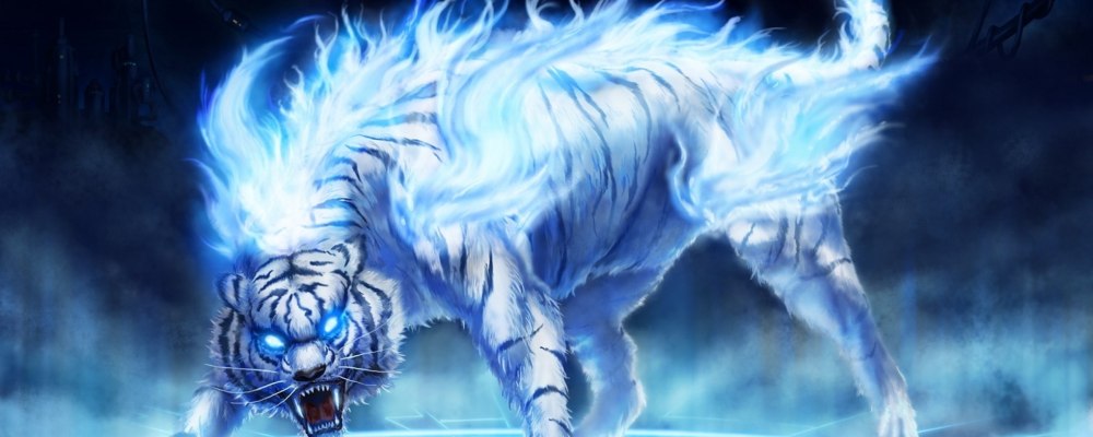 Мачико Sakura Spirit