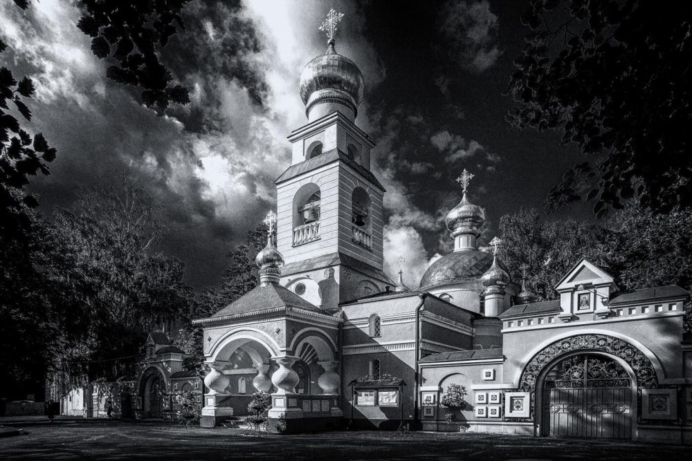 Гвоздики на памятник