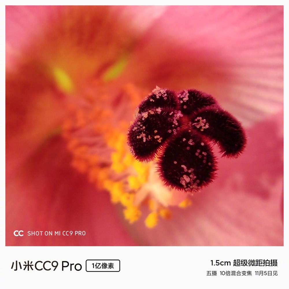 Xiaomi Redmi Note 10 Pro камера макрофотографии