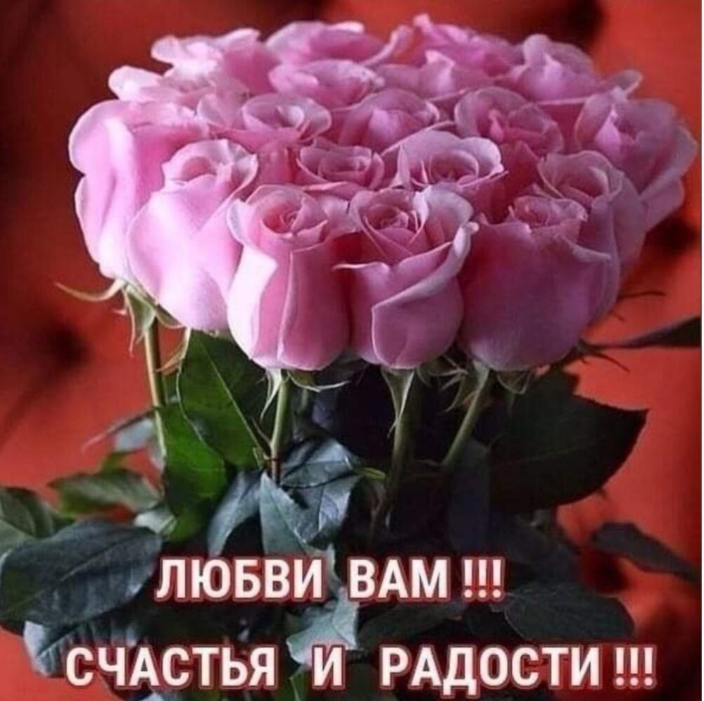 Розовые розы в вазе