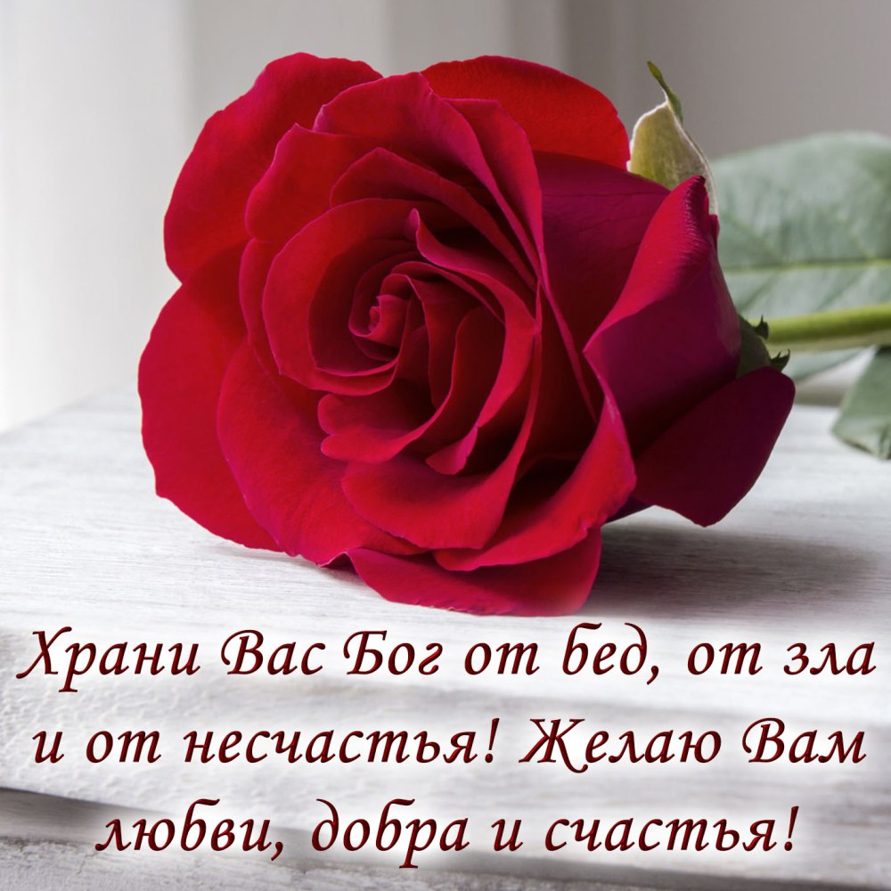 Желтые розы пожелание
