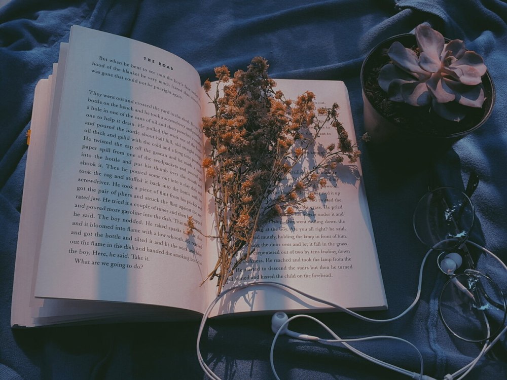 Книжная Эстетика