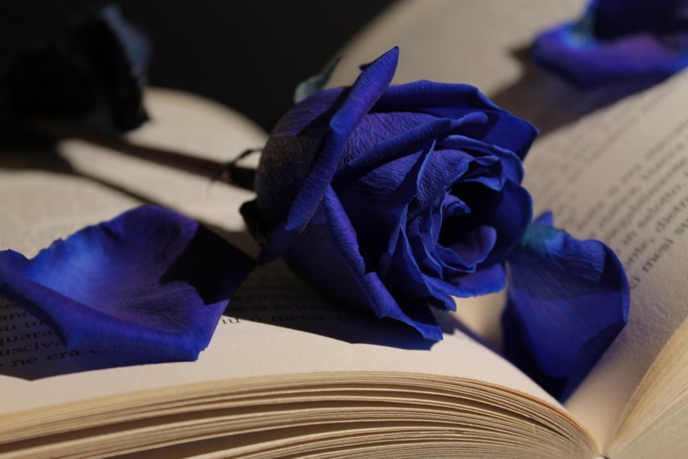 Книги Эстетика