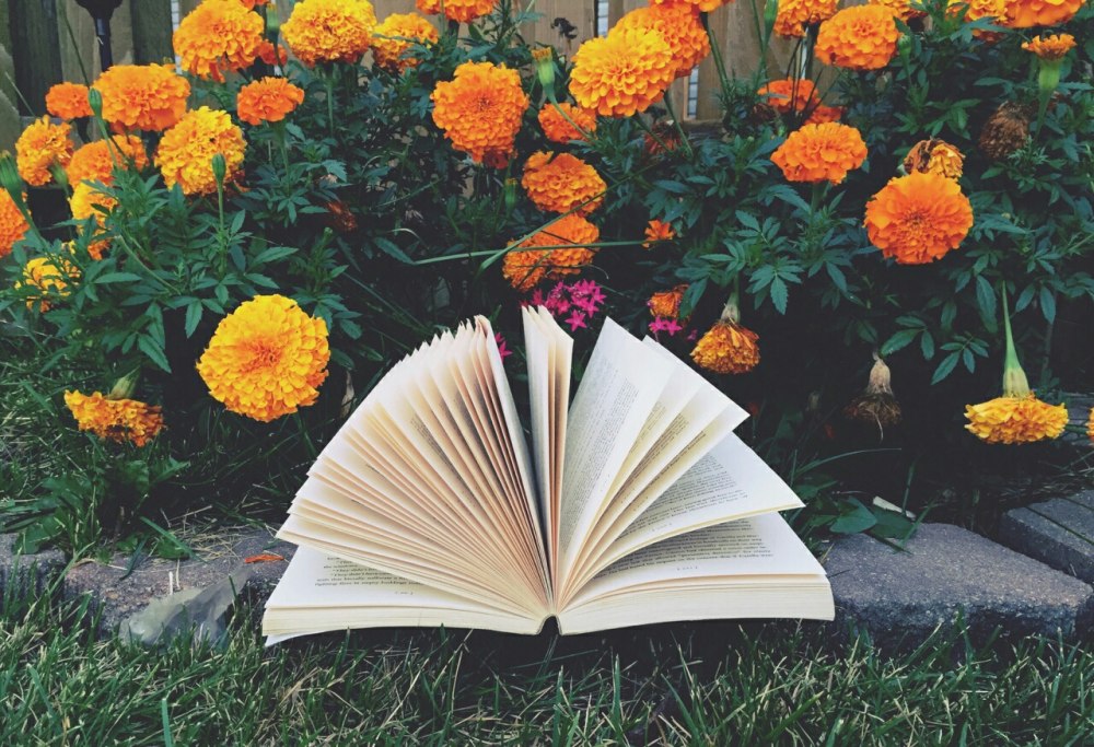 Красивые книги и белые цветы