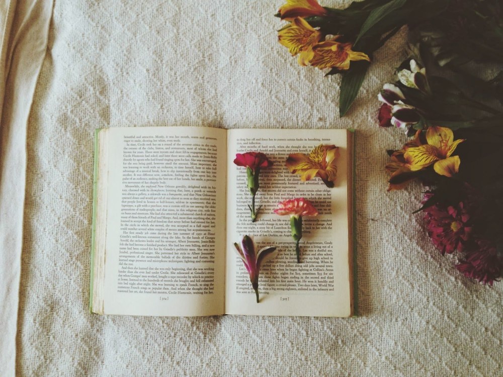 Книга фиолетовая