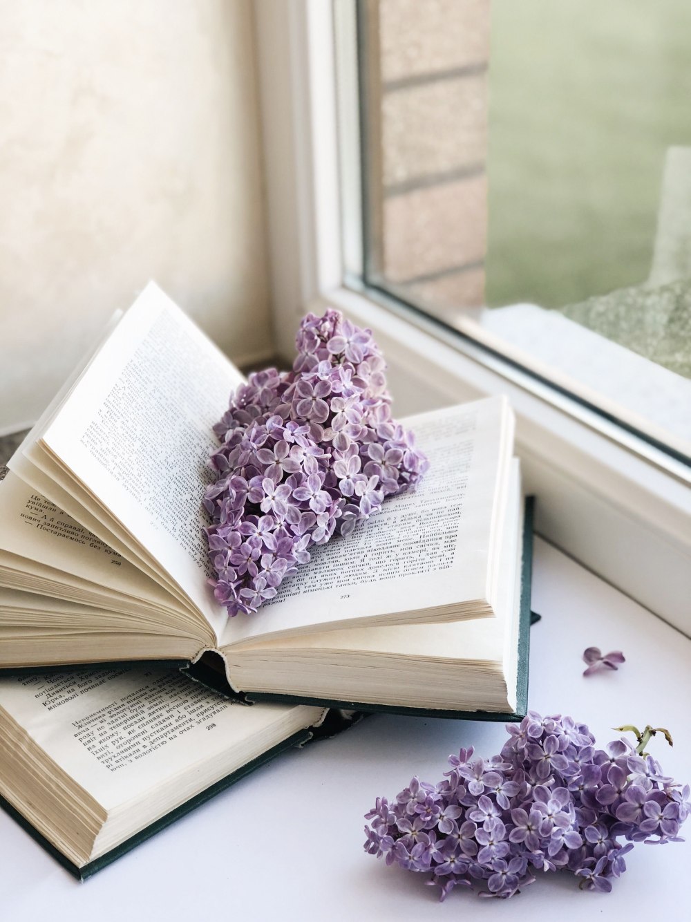 Книги Эстетика