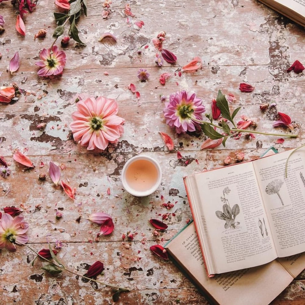 Книги литература Эстетика
