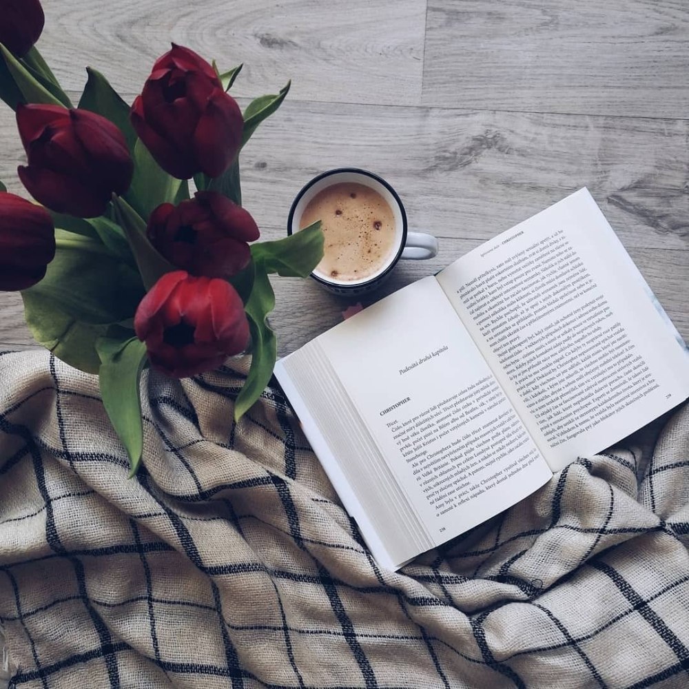 Эстетика розы и книги