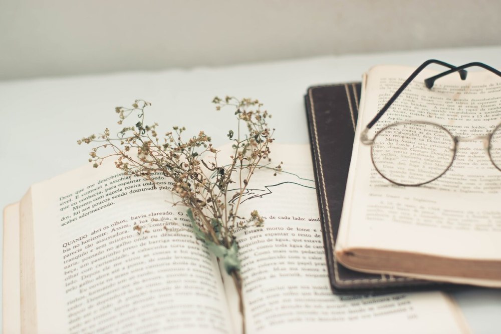 Желтая книга