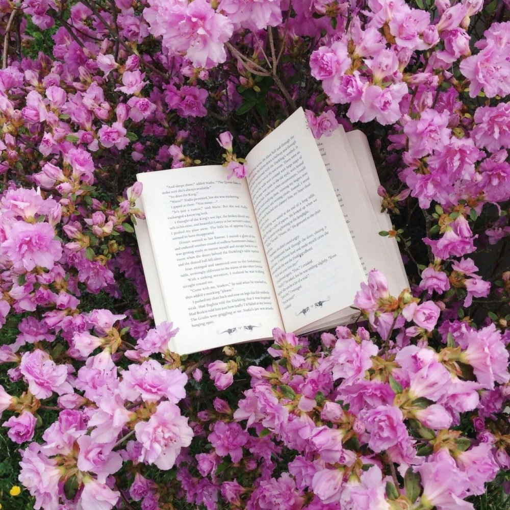 Книги Эстетика