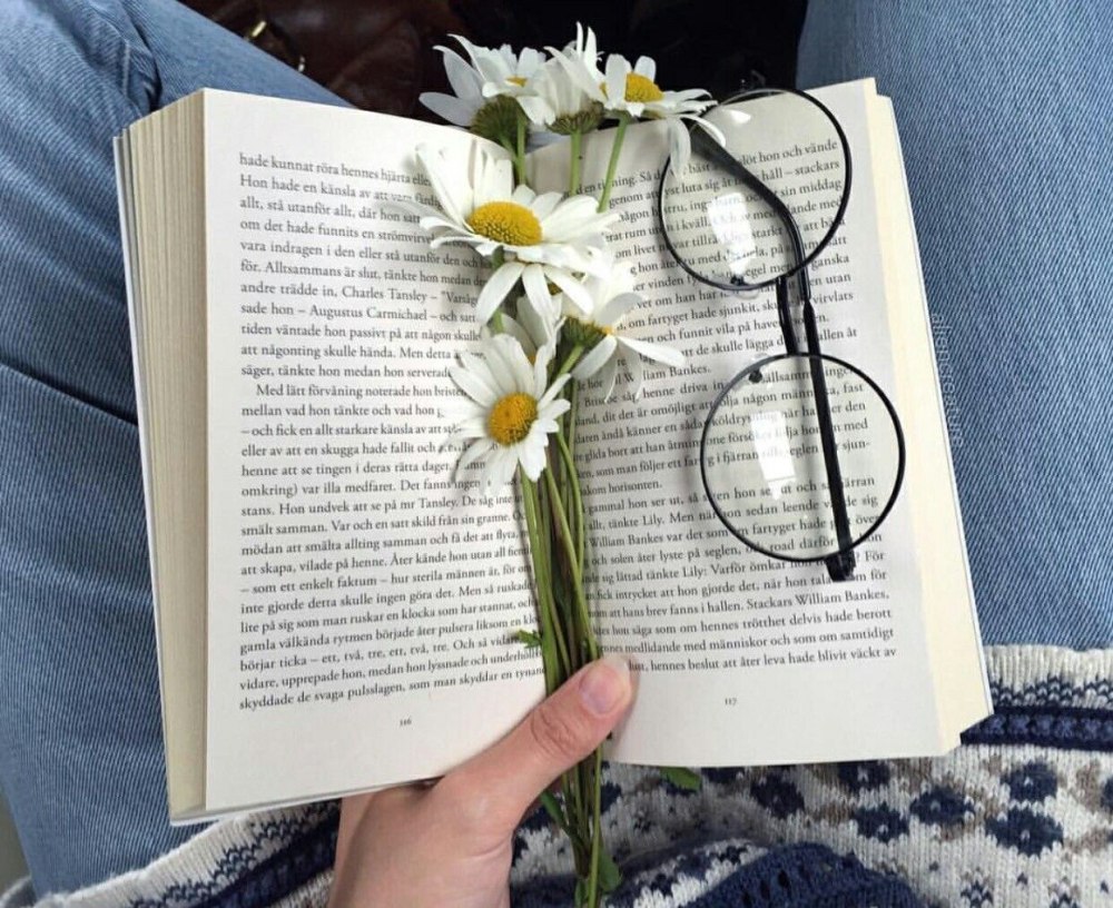 Книги Эстетика